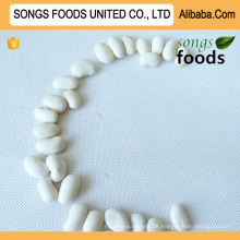 Verkaufe große weiße Kidneybohnen China Songs Foods Company
